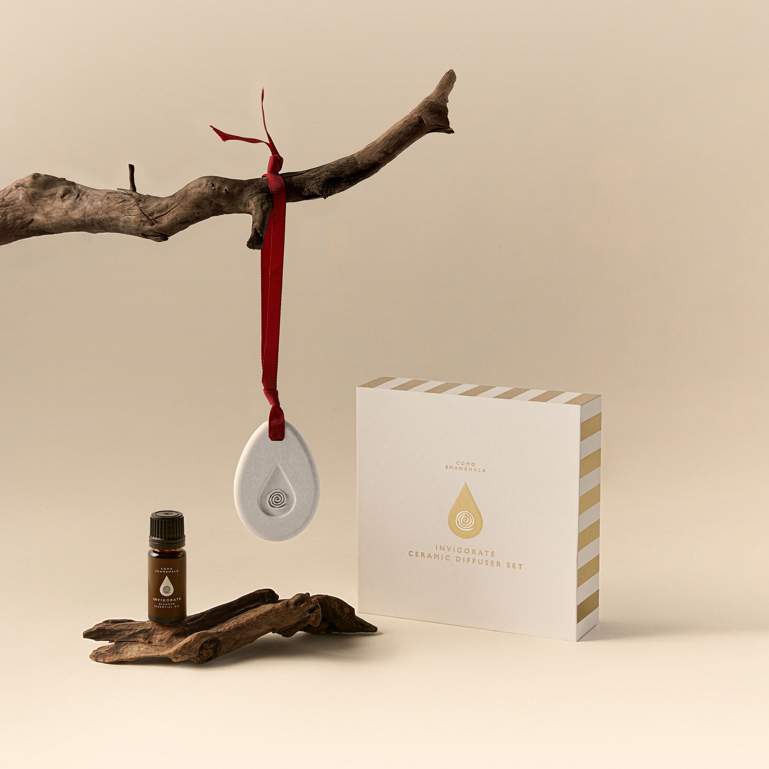 The Invigorate Ceramic Diffuser Gift Set