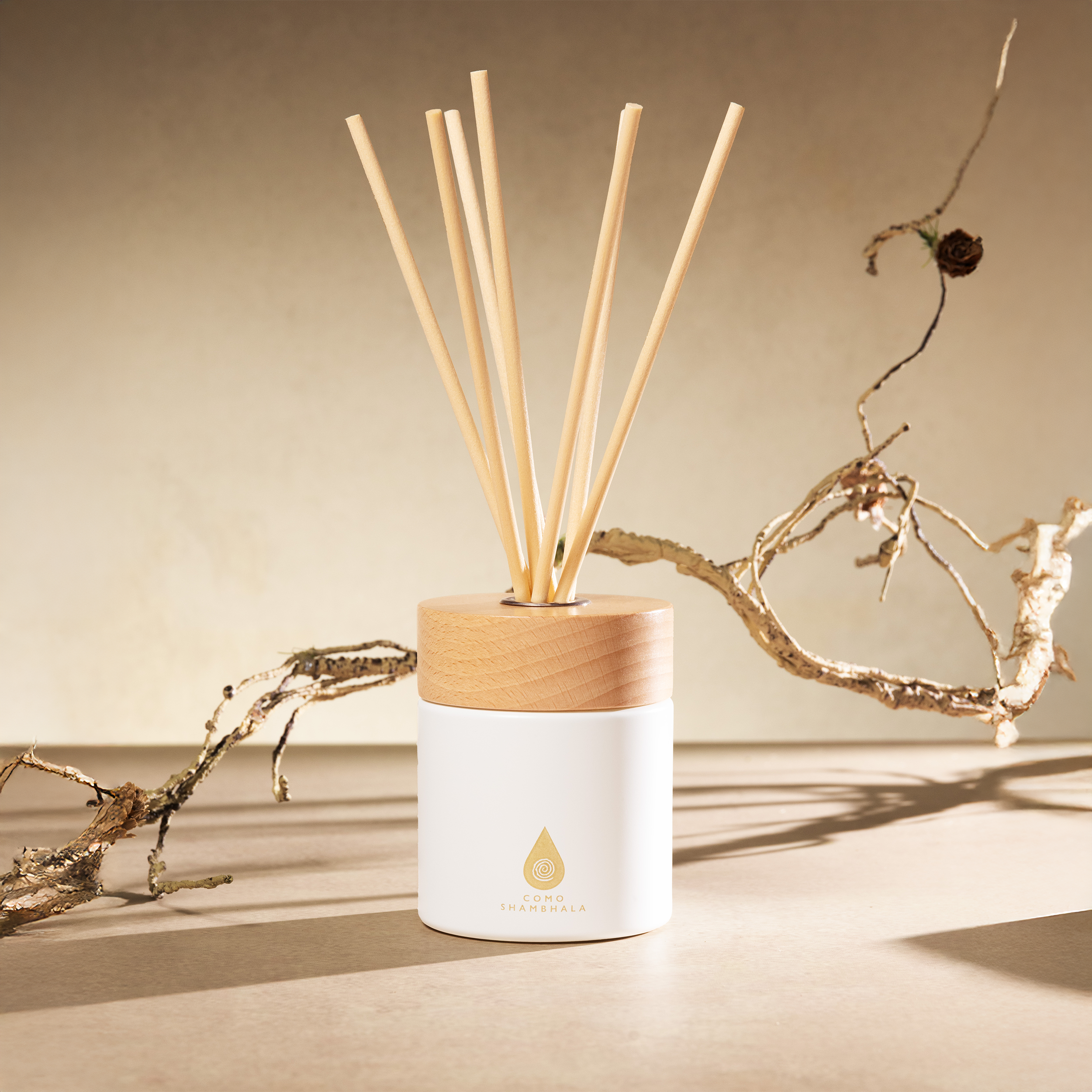 Festive Reed Diffuser