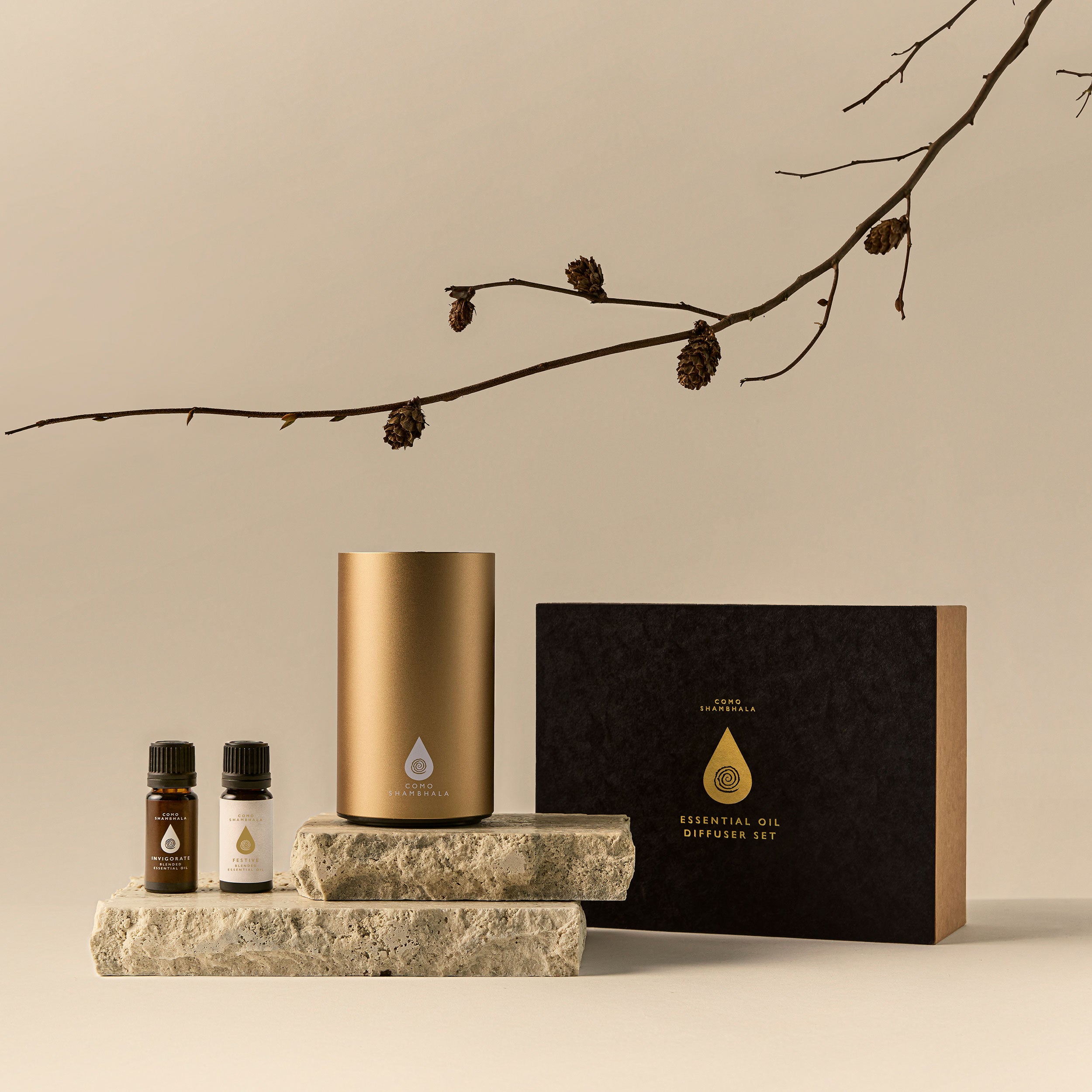 The Essential Oil Diffuser Gift Set in Gold