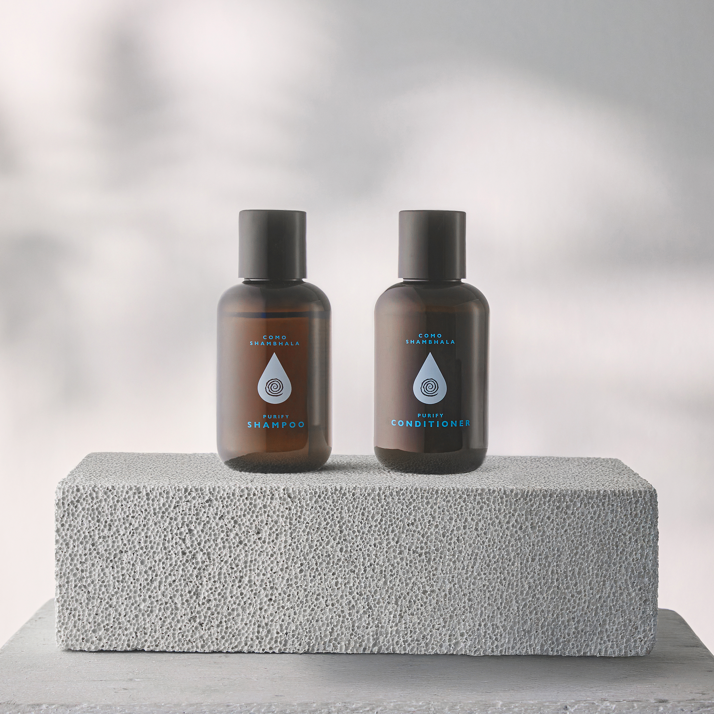 Purify Travel Haircare Duo
